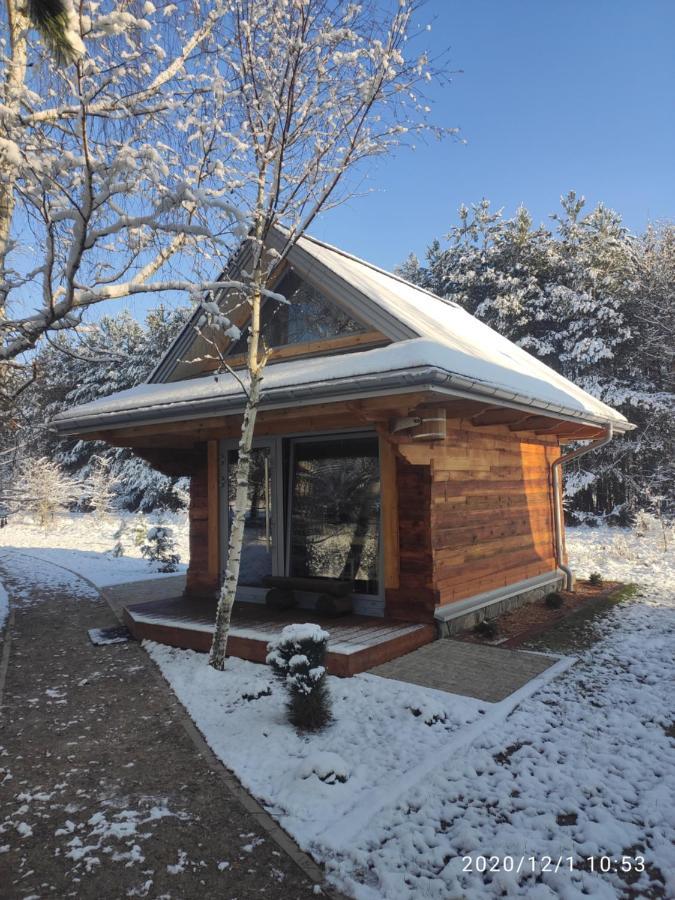 Villa Swironek à Białowieża Extérieur photo