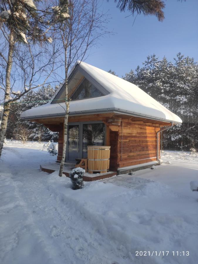 Villa Swironek à Białowieża Extérieur photo