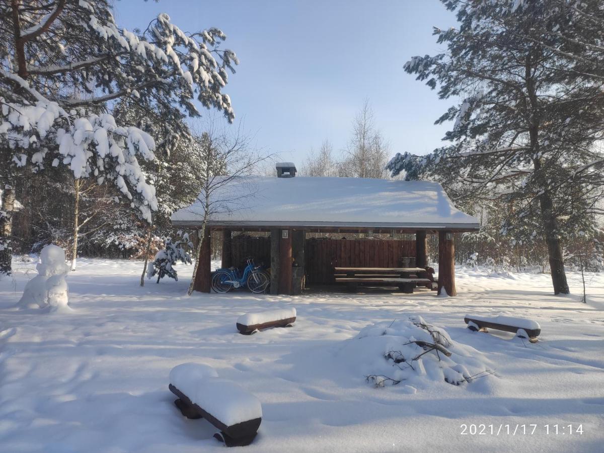 Villa Swironek à Białowieża Extérieur photo