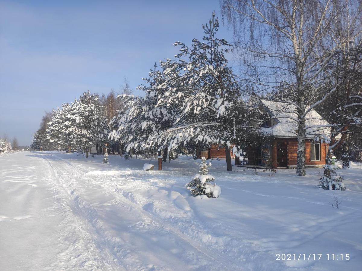 Villa Swironek à Białowieża Extérieur photo