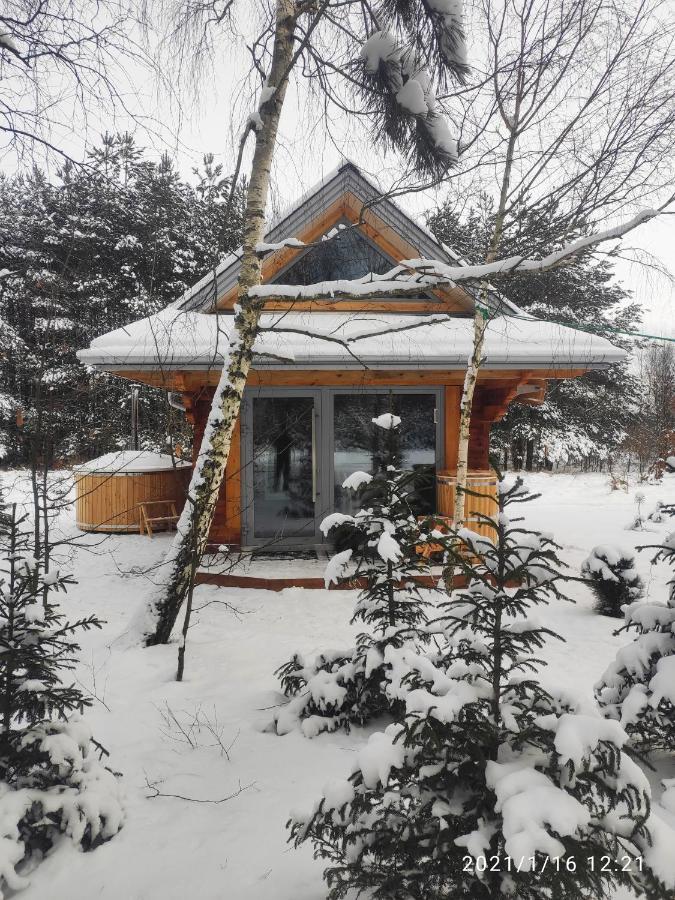 Villa Swironek à Białowieża Extérieur photo